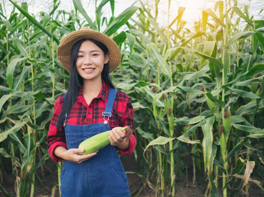 happy-farmer-in-the-corn-field-PWW4LKQ.jpg